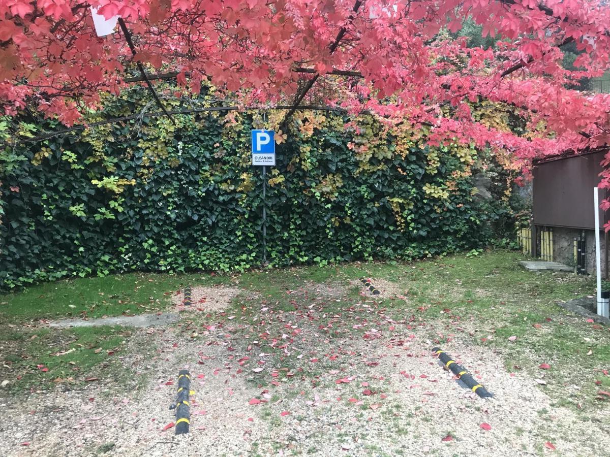 Residence La Mignon Oleandri Torri Del Benaco Dış mekan fotoğraf